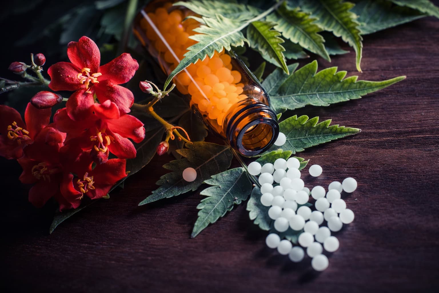Homeopathy care
